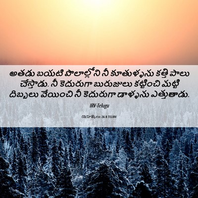 Picture 06 - యెహెజ్కేలు 26:8 TELIRV - అతడు బయటి - Bible Verse Picture