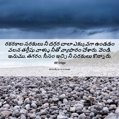 Picture 06 - యెహెజ్కేలు 27:12 TELIRV - రకరకాల సరకులు నీ - Bible Verse Picture