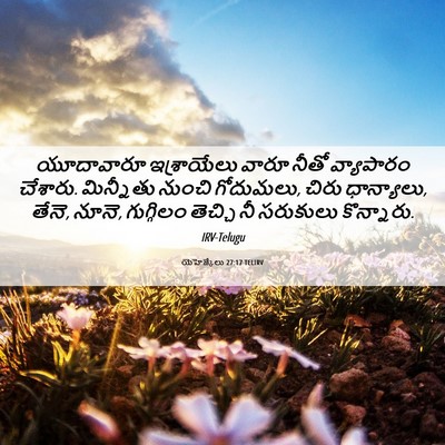 Picture 06 - యెహెజ్కేలు 27:17 TELIRV - యూదావారూ - Bible Verse Picture