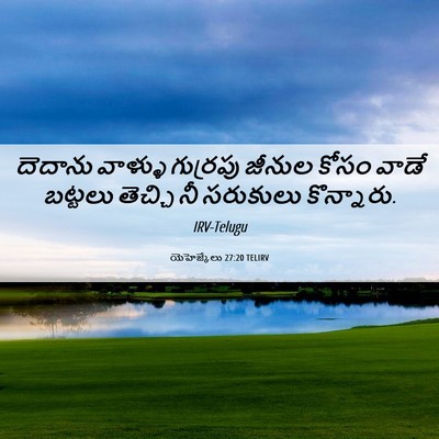 Picture 06 - యెహెజ్కేలు 27:20 TELIRV - దెదాను వాళ్ళు - Bible Verse Picture