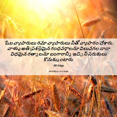 Picture 06 - యెహెజ్కేలు 27:22 TELIRV - షేబ వ్యాపారులు - Bible Verse Picture