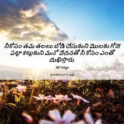 Picture 06 - యెహెజ్కేలు 27:31 TELIRV - నీకోసం తమ తలలు - Bible Verse Picture