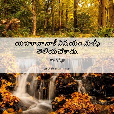 Picture 06 - యెహెజ్కేలు 28:11 TELIRV - యెహోవా నాకీ విషయం - Bible Verse Picture