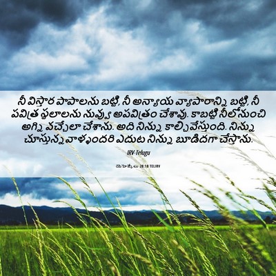 Picture 06 - యెహెజ్కేలు 28:18 TELIRV - నీ విస్తార - Bible Verse Picture