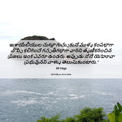 Picture 06 - యెహెజ్కేలు 28:24 TELIRV - ఇశ్రాయేలీయుల - Bible Verse Picture