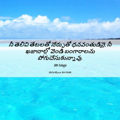 Picture 06 - యెహెజ్కేలు 28:4 TELIRV - నీ తెలివి తేటలతో - Bible Verse Picture