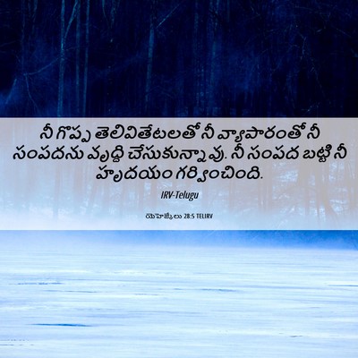 Picture 06 - యెహెజ్కేలు 28:5 TELIRV - నీ గొప్ప - Bible Verse Picture
