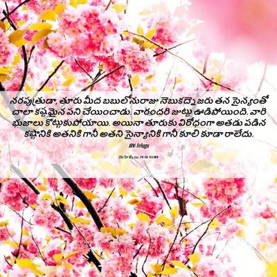 Picture 06 - యెహెజ్కేలు 29:18 TELIRV - నరపుత్రుడా, తూరు - Bible Verse Picture