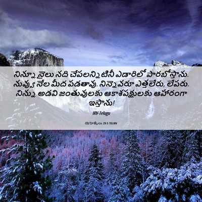Picture 06 - యెహెజ్కేలు 29:5 TELIRV - నిన్నూ నైలు నది - Bible Verse Picture