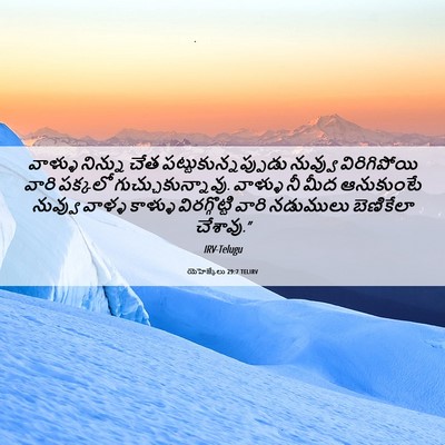 Picture 06 - యెహెజ్కేలు 29:7 TELIRV - వాళ్ళు నిన్ను చేత - Bible Verse Picture