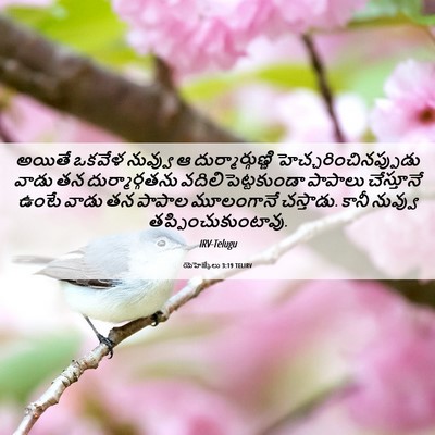 Picture 06 - యెహెజ్కేలు 3:19 TELIRV - అయితే ఒకవేళ - Bible Verse Picture