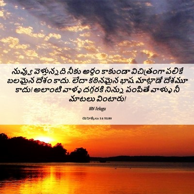 Picture 06 - యెహెజ్కేలు 3:6 TELIRV - నువ్వు - Bible Verse Picture