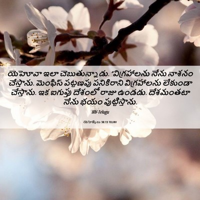 Picture 06 - యెహెజ్కేలు 30:13 TELIRV - యెహోవా ఇలా - Bible Verse Picture