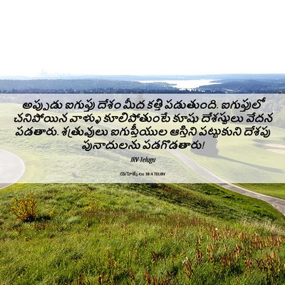 Picture 06 - యెహెజ్కేలు 30:4 TELIRV - అప్పుడు ఐగుప్తు - Bible Verse Picture