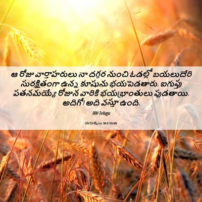 Picture 06 - యెహెజ్కేలు 30:9 TELIRV - ఆ రోజు - Bible Verse Picture