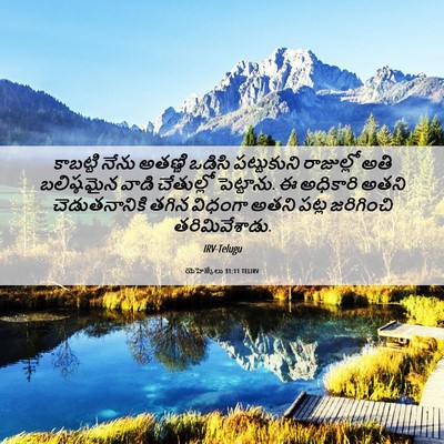 Picture 06 - యెహెజ్కేలు 31:11 TELIRV - కాబట్టి నేను - Bible Verse Picture
