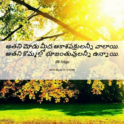 Picture 06 - యెహెజ్కేలు 31:13 TELIRV - అతని మోడు మీద - Bible Verse Picture