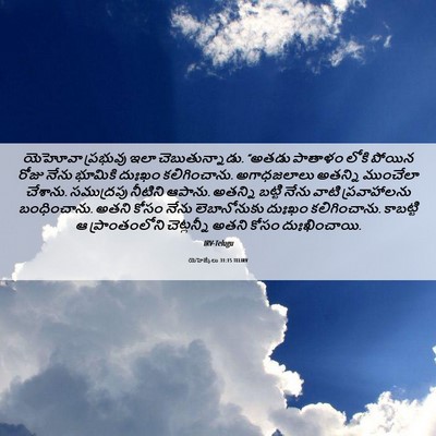 Picture 06 - యెహెజ్కేలు 31:15 TELIRV - యెహోవా ప్రభువు - Bible Verse Picture