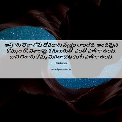 Picture 06 - యెహెజ్కేలు 31:3 TELIRV - అష్షూరు లెబానోను - Bible Verse Picture