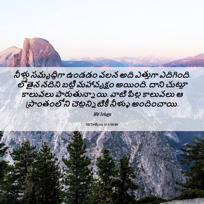 Picture 06 - యెహెజ్కేలు 31:4 TELIRV - నీళ్లు సమృద్ధిగా - Bible Verse Picture