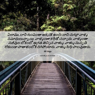 Picture 06 - యెహెజ్కేలు 32:24 TELIRV - ఏలాము, దాని - Bible Verse Picture