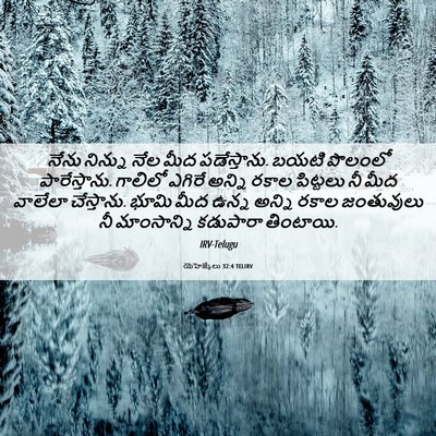 Picture 06 - యెహెజ్కేలు 32:4 TELIRV - నేను నిన్ను నేల - Bible Verse Picture