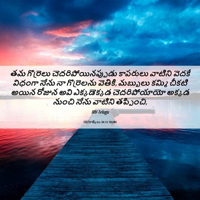 Picture 06 - యెహెజ్కేలు 34:12 TELIRV - తమ గొర్రెలు - Bible Verse Picture