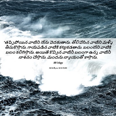 Picture 06 - యెహెజ్కేలు 34:16 TELIRV - “తప్పిపోయిన - Bible Verse Picture
