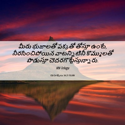 Picture 06 - యెహెజ్కేలు 34:21 TELIRV - మీరు భుజాలతో - Bible Verse Picture