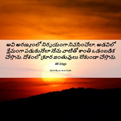 Picture 06 - యెహెజ్కేలు 34:25 TELIRV - అవి అరణ్యంలో - Bible Verse Picture