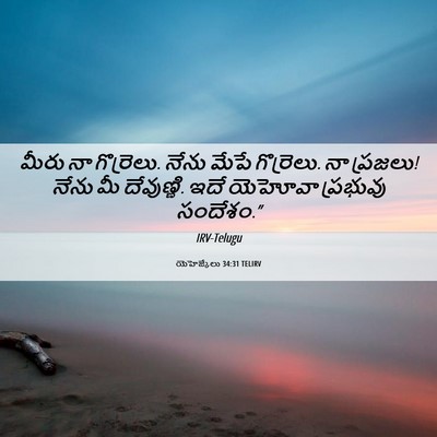 Picture 06 - యెహెజ్కేలు 34:31 TELIRV - మీరు నా గొర్రెలు. - Bible Verse Picture