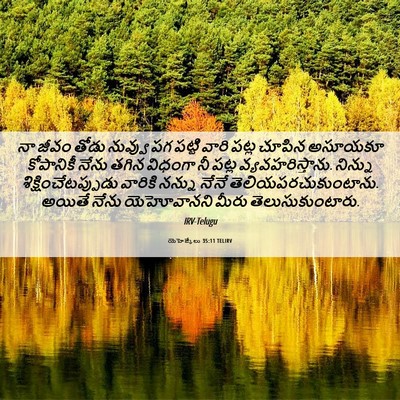Picture 06 - యెహెజ్కేలు 35:11 TELIRV - నా జీవం తోడు - Bible Verse Picture