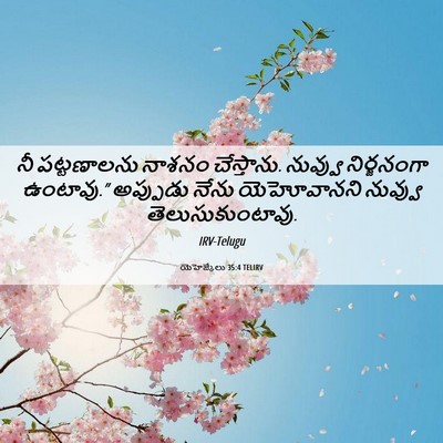 Picture 06 - యెహెజ్కేలు 35:4 TELIRV - నీ పట్టణాలను - Bible Verse Picture