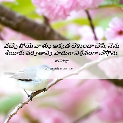 Picture 06 - యెహెజ్కేలు 35:7 TELIRV - వచ్చే పోయే వాళ్ళు - Bible Verse Picture