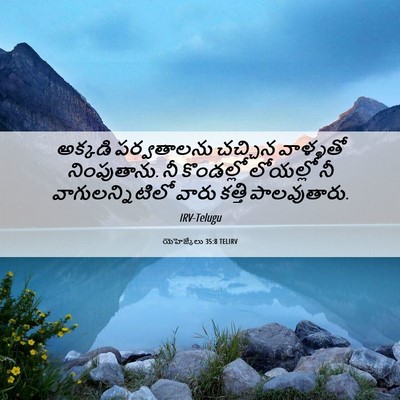 Picture 06 - యెహెజ్కేలు 35:8 TELIRV - అక్కడి పర్వతాలను - Bible Verse Picture