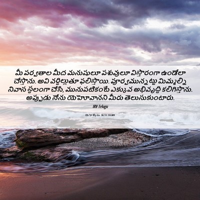 Picture 06 - యెహెజ్కేలు 36:11 TELIRV - మీ పర్వతాల మీద - Bible Verse Picture