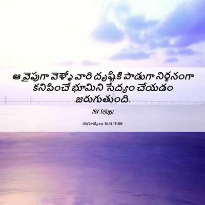 Picture 06 - యెహెజ్కేలు 36:34 TELIRV - ఆ వైపుగా వెళ్ళే - Bible Verse Picture