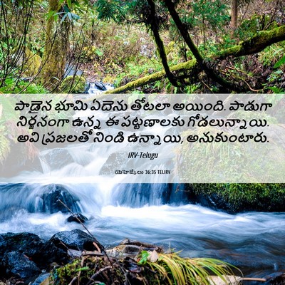 Picture 06 - యెహెజ్కేలు 36:35 TELIRV - పాడైన భూమి ఏదెను - Bible Verse Picture