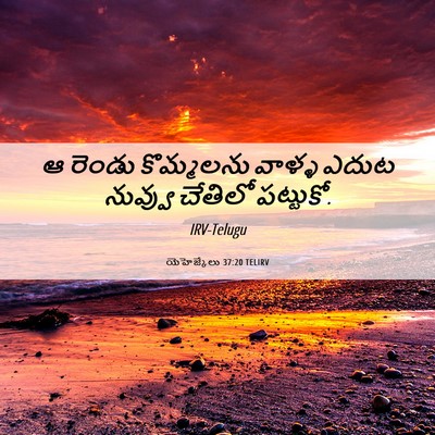 Picture 06 - యెహెజ్కేలు 37:20 TELIRV - ఆ రెండు కొమ్మలను - Bible Verse Picture