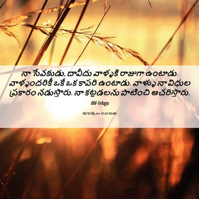 Picture 06 - యెహెజ్కేలు 37:24 TELIRV - నా సేవకుడు, దావీదు - Bible Verse Picture
