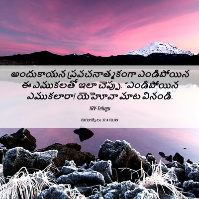Picture 06 - యెహెజ్కేలు 37:4 TELIRV - అందుకాయన - Bible Verse Picture