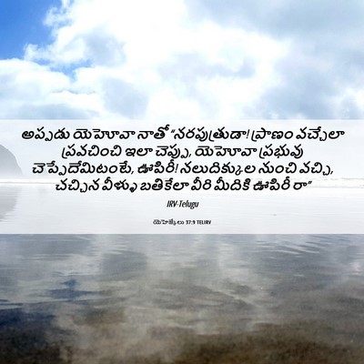 Picture 06 - యెహెజ్కేలు 37:9 TELIRV - అప్పడు యెహోవా - Bible Verse Picture