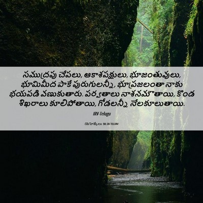 Picture 06 - యెహెజ్కేలు 38:20 TELIRV - సముద్రపు చేపలు, - Bible Verse Picture