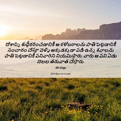 Picture 06 - యెహెజ్కేలు 39:14 TELIRV - దేశాన్ని - Bible Verse Picture