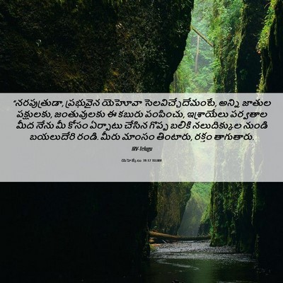 Picture 06 - యెహెజ్కేలు 39:17 TELIRV - “నరపుత్రుడా, - Bible Verse Picture
