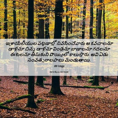 Picture 06 - యెహెజ్కేలు 39:9 TELIRV - ఇశ్రాయేలీయుల - Bible Verse Picture