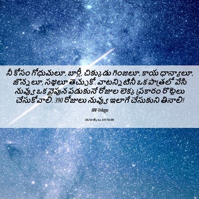 Picture 06 - యెహెజ్కేలు 4:9 TELIRV - నీ కోసం గోధుమలూ, - Bible Verse Picture