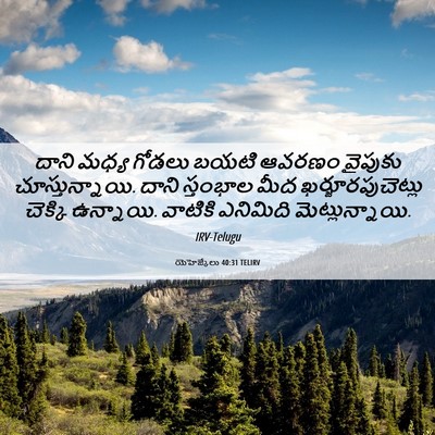 Picture 06 - యెహెజ్కేలు 40:31 TELIRV - దాని మధ్య గోడలు - Bible Verse Picture