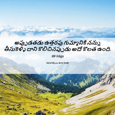 Picture 06 - యెహెజ్కేలు 40:35 TELIRV - అప్పుడతడు ఉత్తరపు - Bible Verse Picture