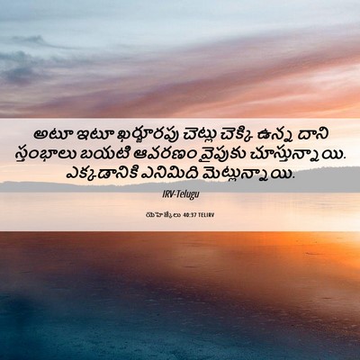 Picture 06 - యెహెజ్కేలు 40:37 TELIRV - అటూ ఇటూ ఖర్జూరపు - Bible Verse Picture
